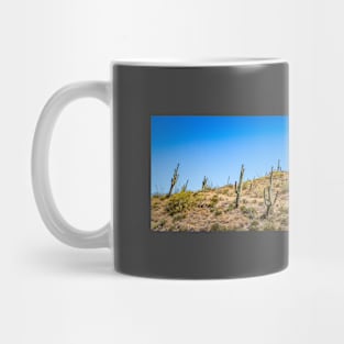 Apache Trail Scenic Drive View Mug